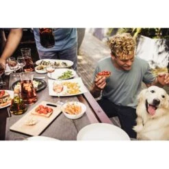 Campingaz Attitude 2100 EX, Gasgrill -Geschäft Für Küchen- Und Grillzubehör Campingaz Attitude 2100 EX Gasgrill@@1crcm00w 17