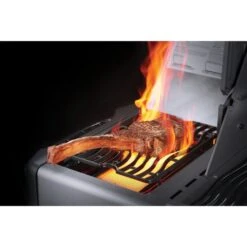 Napoleon Gasgrill Prestige 665 26 Napoleon Gasgrill Prestige 665 -Geschäft Für Küchen- Und Grillzubehör Napoleon Gasgrill Prestige 665@@9ggfen1m 4