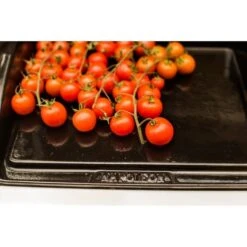 Napoleon Gusseisen-Plancha, Grillplatte -Geschäft Für Küchen- Und Grillzubehör Napoleon Gusseisen Plancha Grillplatte@@9ggzzn0s 7