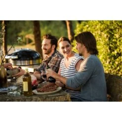 Napoleon Holzkohlegrill PRO22K, Im Rollwagen 41 Napoleon Holzkohlegrill PRO22K, Im Rollwagen -Geschäft Für Küchen- Und Grillzubehör Napoleon Holzkohlegrill PRO22K im Rollwagen@@9ggffn01 19