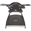 Weber Gasgrill Q 2000 Stand Black -Geschäft Für Küchen- Und Grillzubehör Weber Gasgrill Q 2000 Stand Black@@9ggfew61