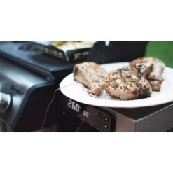 Weber Gasgrill Spirit EPX-325S GBS -Geschäft Für Küchen- Und Grillzubehör Weber Gasgrill Spirit EPX 325S GBS@@1694193 16