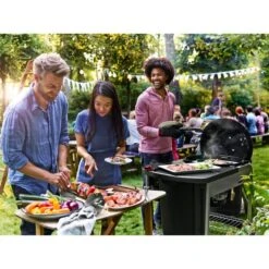 Weber Holzkohlegrill Performer Premium GBS Edition -Geschäft Für Küchen- Und Grillzubehör Weber Holzkohlegrill Performer Premium GBS Edition@@1805697 18