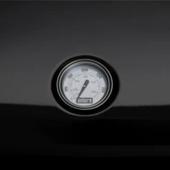 Weber Lumin Elektrogrill -Geschäft Für Küchen- Und Grillzubehör Weber Lumin Elektrogrill@@1875474 4