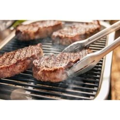 Weber Lumin Elektrogrill -Geschäft Für Küchen- Und Grillzubehör Weber Lumin Elektrogrill@@1875480 9