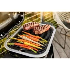 Weber Lumin Elektrogrill Mit Stand -Geschäft Für Küchen- Und Grillzubehör Weber Lumin Elektrogrill mit Stand@@1875515 9